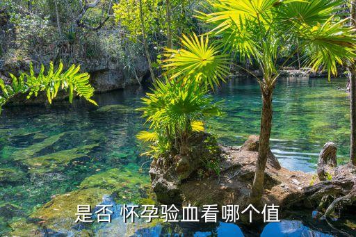 血液檢查怎么算懷孕,懷孕血液檢查報告單怎么看...